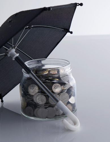 Finansal Sigortalar